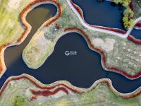 “红项链”惊艳！西海岸这个公园美如画卷