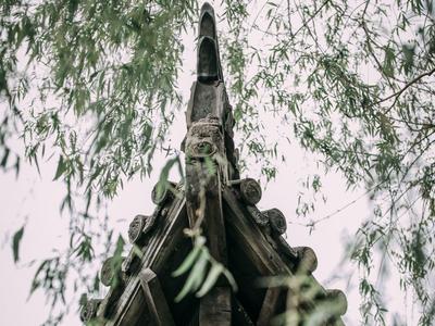 长宁路：闹市中辟幽静，这里有片古建筑群值得看 | 百年·百街⑤