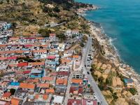 樱雨落纷飞 温暖四月天丨美图周赏⑬