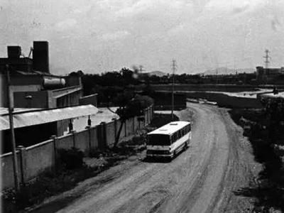 城市影像档案|东海路的巨大变迁