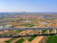 樱雨落纷飞 温暖四月天丨美图周赏⑬