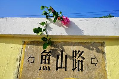 鱼山路：百年老建筑+盛放的蔷薇=浪漫海报丨百年·百街 ②