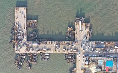 又到了丰收季！红岛的蛤蜊，一挖一麻袋