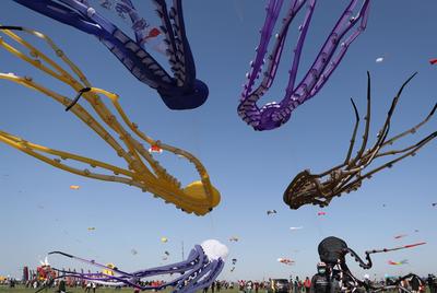 潍坊风筝会镜头：巨型“八代鮹”满天飞是这种画面