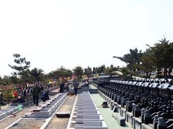 公墓竟有“干部区”？官方回应来了！