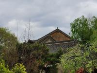 长宁路：闹市中辟幽静，这里有片古建筑群值得看 | 百年·百街⑤