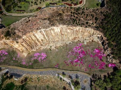 历经一亿多年，神奇马山石林山花烂漫 