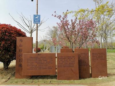 从最南端的现代诗词作品往北纵深到先秦文学，600米诗词长廊落户青岛这里