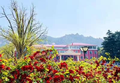 “早”探校系列直播①|听，读书声和花开的声音！观海新闻喊你走进“花园学校”