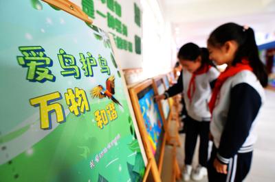 爱鸟周40周年：娃娃们“为鸟安家” 护鸟入人心