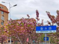 美得恍如隔世！李村河畔雨后落“樱”缤纷