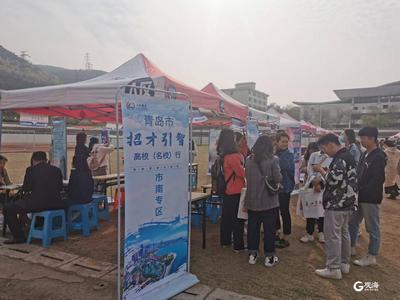“青”牵泰安——2021年青岛招才引智高校（名校）行泰安站收官