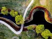 “红项链”惊艳！西海岸这个公园美如画卷