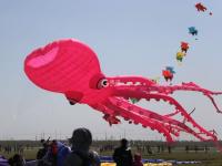 潍坊风筝会镜头：巨型“八代鮹”满天飞是这种画面