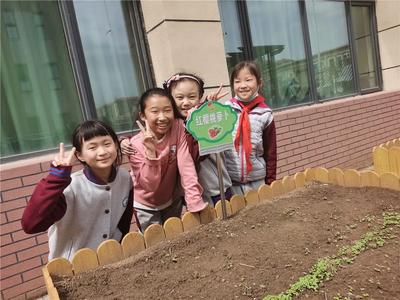 劳动育人，青岛大枣园小学“开心农场”劳动教育实践基地启动啦！