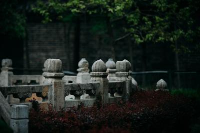 长宁路：闹市中辟幽静，这里有片古建筑群值得看 | 百年·百街⑤