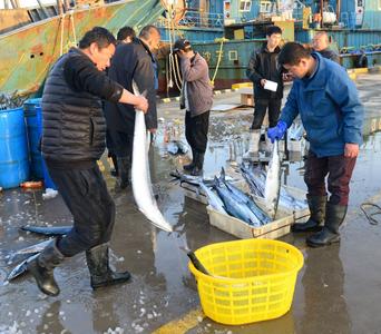 你爱的海鲜囤货了吗？5月1日封海，实拍沙子口“最后一船”