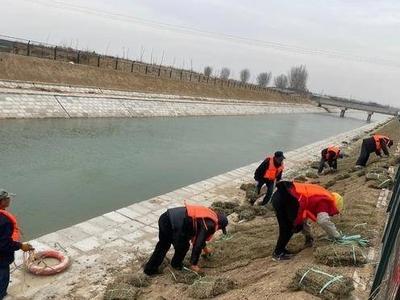 提前2个月完工！引黄济青青岛段改扩建水土保持工程共植草皮13万余平方米