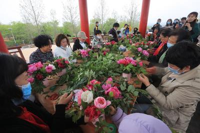 百名女摄影家闻香而来——聚焦青岛国际牡丹产业园线下采风