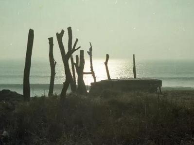 城市影像档案|东海路的巨大变迁