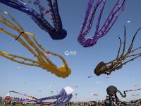 潍坊风筝会镜头：巨型“八代鮹”满天飞是这种画面