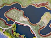 樱雨落纷飞 温暖四月天丨美图周赏⑬