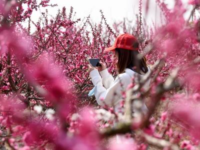 洋河镇：农旅融合助推乡村振兴