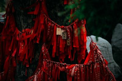 长宁路：闹市中辟幽静，这里有片古建筑群值得看 | 百年·百街⑤