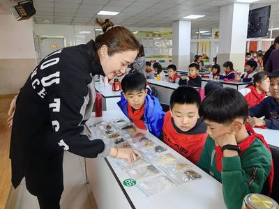 学中医典故，识百草，练八段锦 市北区启动中医药文化进校园活动