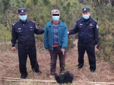 出售抹香鲸牙，设网捕捉国家二级保护动物……这些人被刑拘！
