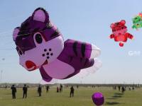潍坊风筝会镜头：巨型“八代鮹”满天飞是这种画面