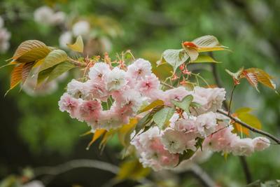 莲花山路：酒店用品一条街也有好风景| 百年·百街⑥