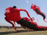 潍坊风筝会镜头：巨型“八代鮹”满天飞是这种画面