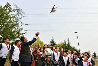 爱鸟周40周年：娃娃们“为鸟安家” 护鸟入人心