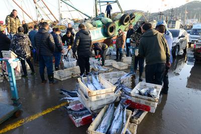 你爱的海鲜囤货了吗？5月1日封海，实拍沙子口“最后一船”