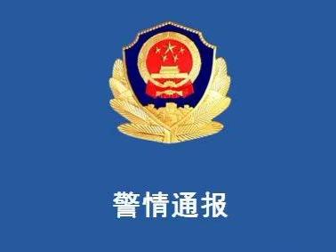 警方通报上海车展特斯拉女车主“车顶维权”：行政拘留五日