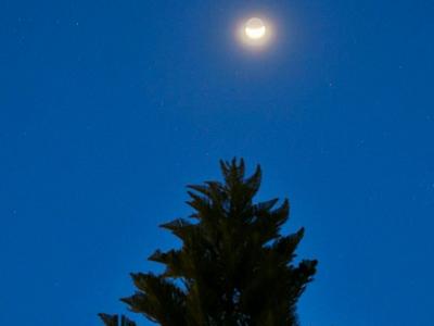 双星伴月！土星、木星和残月7日晨将在天空中组成一张“歪嘴笑脸”