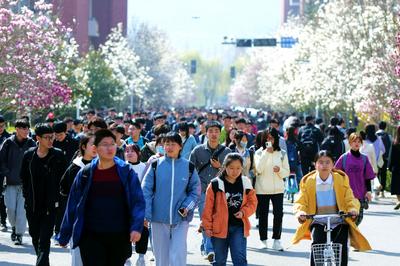 为中国式现代化青岛实践挺膺担当——青岛市学生联合会工作综述
