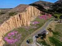 历经一亿多年，神奇马山石林山花烂漫 