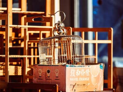 小街小巷有味道！家具一条街的午后慢时光