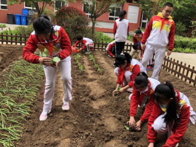 在劳动中增长知识，即墨区山师实验学校“种植园”开园啦！