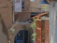 龙江路:一条长在颜值点上的路|百年·百街③