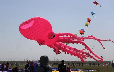 潍坊风筝会镜头：巨型“八代鮹”满天飞是这种画面