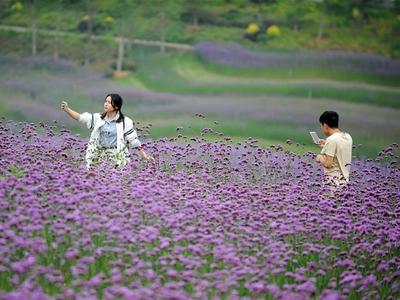 踏青赏花，市级公园管理服务中心致游客朋友一封信！