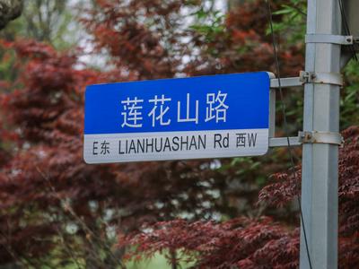 莲花山路：酒店用品一条街也有好风景| 百年·百街⑥