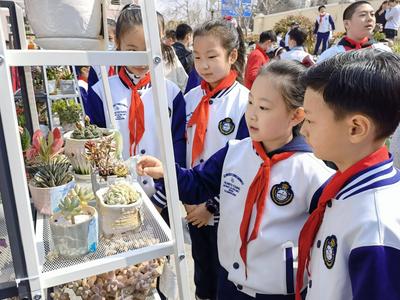 青岛市内四区及高新区公布义务教育段入学政策！