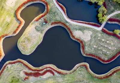 “红项链”惊艳！西海岸这个公园美如画卷