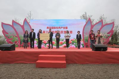 百名女摄影家闻香而来——聚焦青岛国际牡丹产业园线下采风