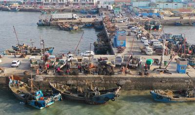 又到了丰收季！红岛的蛤蜊，一挖一麻袋