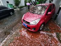 花伴雨！这是走进童话世界里了吧